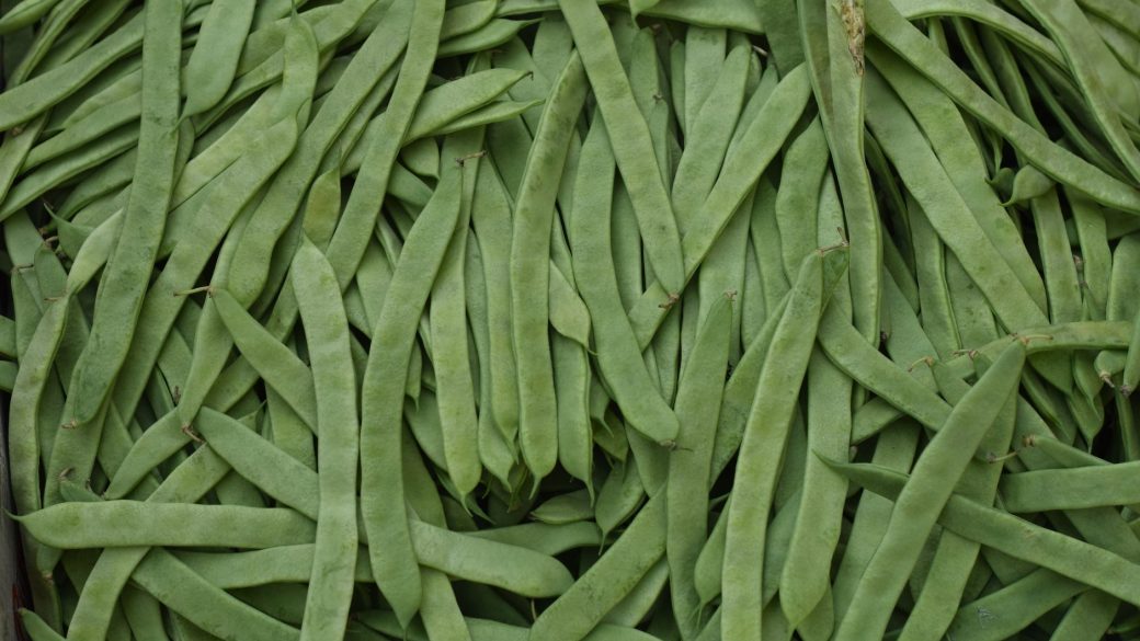 Top view of fresh, nutritious organic green snap beans, perfect for healthy recipes.