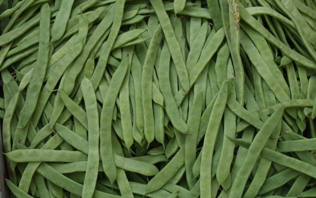 Top view of fresh, nutritious organic green snap beans, perfect for healthy recipes.