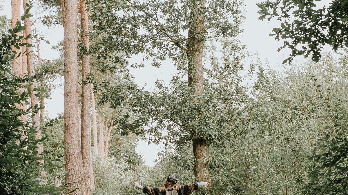 A person walking outdoors on a tree-lined path